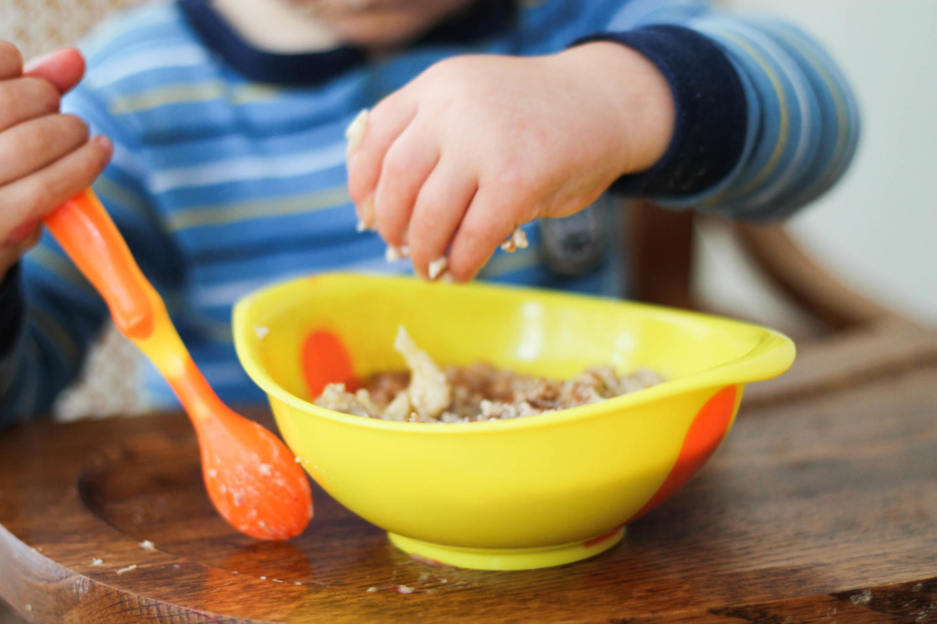 Breakfast Bowls For Your Baby